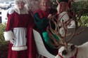 Mr. and Mrs. Claus with their elves and reindeer for Christmas! 