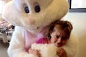 Wide variety of Easter Bunny costumes available! Great for photos!