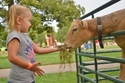 Interactive petting zoos