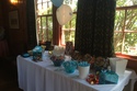 Corporate Picnic w/candy station