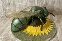 3-D realistic sculpted bee cake on sunflower 